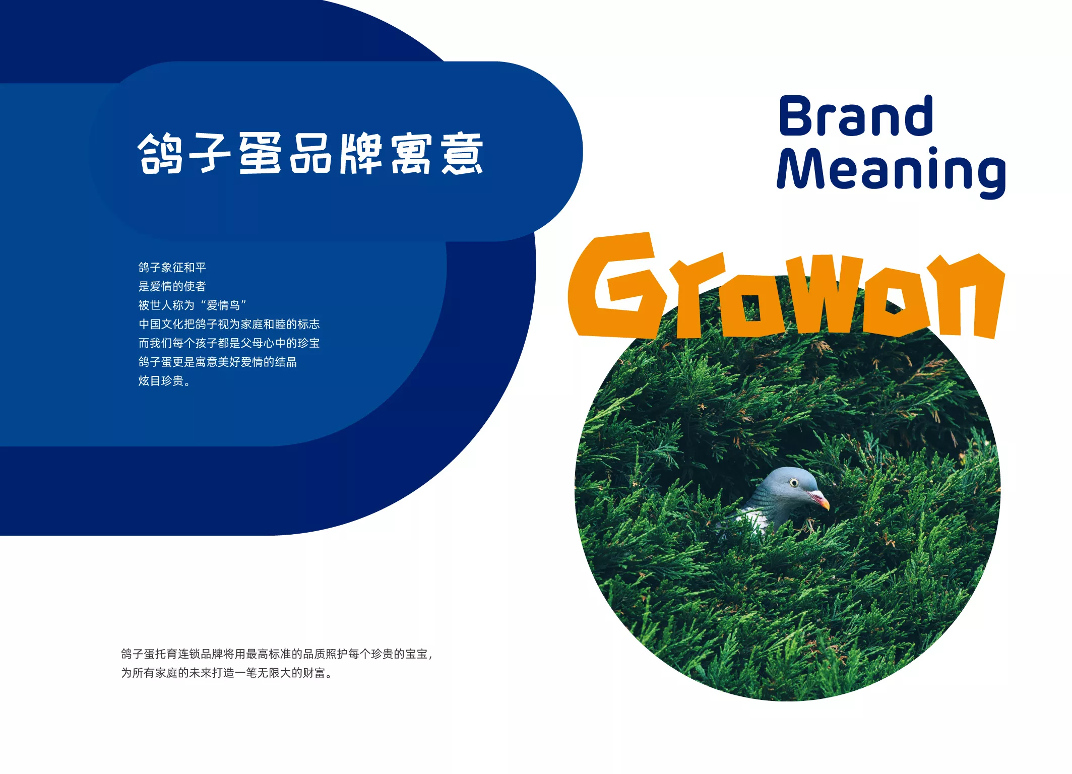 鴿子蛋品牌畫(huà)冊(cè)-新1-04.jpg