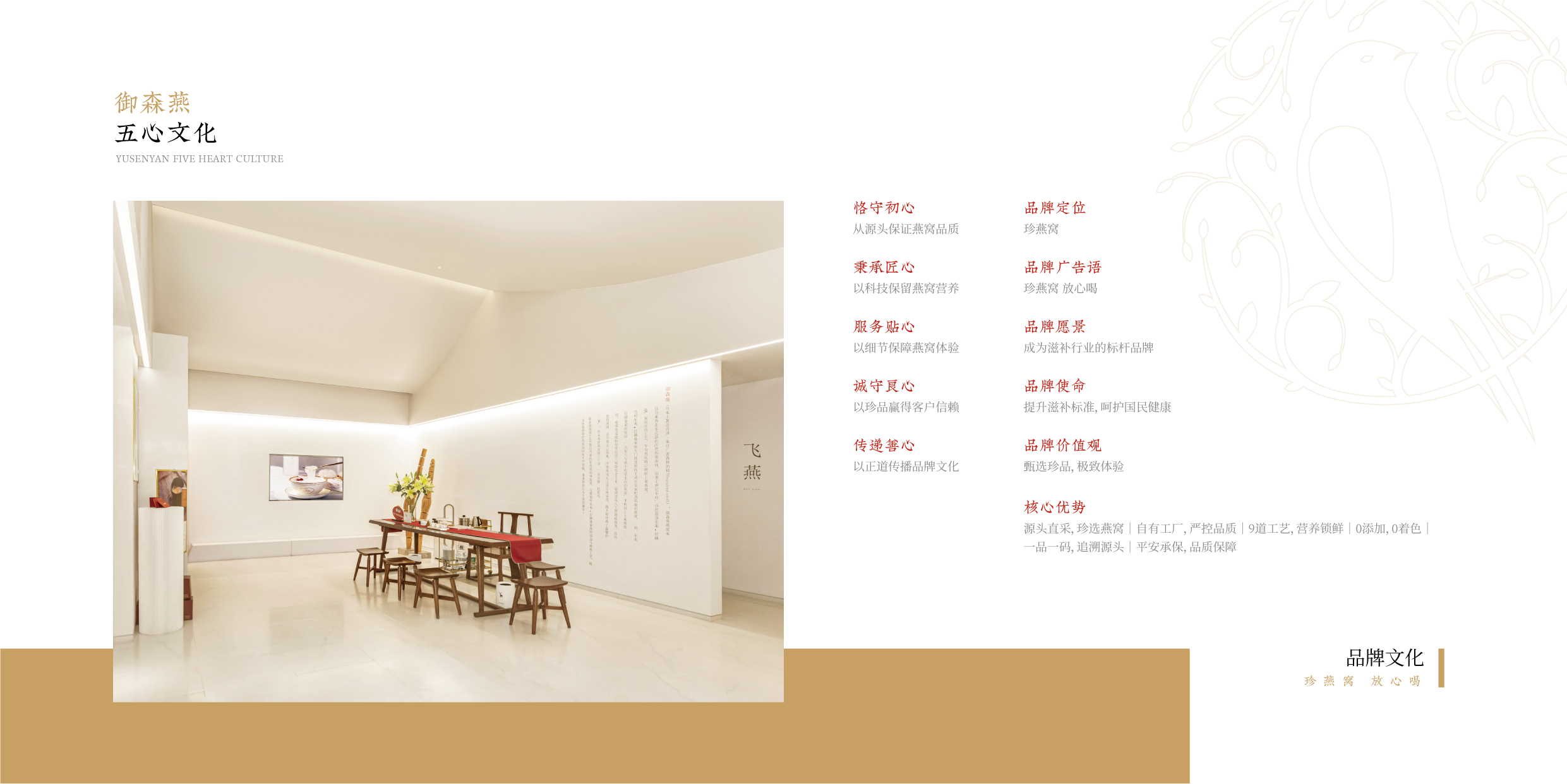 御森燕 招商手冊(cè)-06.jpg